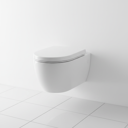 Ceramic Wall Mount Toilet